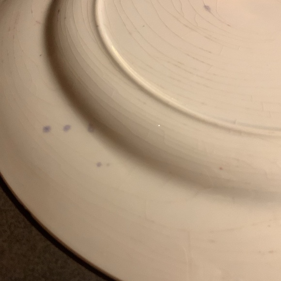 1960s Blue & White Ceramic Colorado Tourist Souvenir Collectible Display Plate - Picture 11 of 17